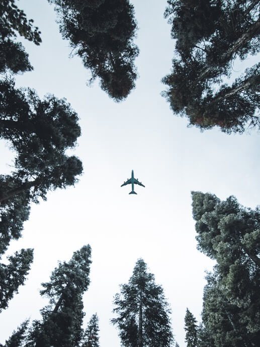 Babel Transports ENAIRE.  An airplane seen under a landscape full of trees